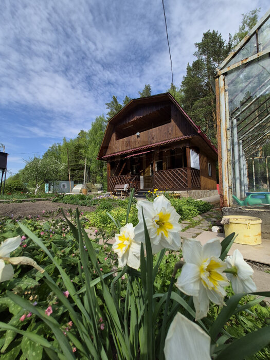 Екатеринбург, снт. Юринский - фото сада (1)