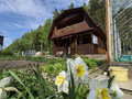 Продажа садового участка: Екатеринбург, снт. Юринский - Фото 1