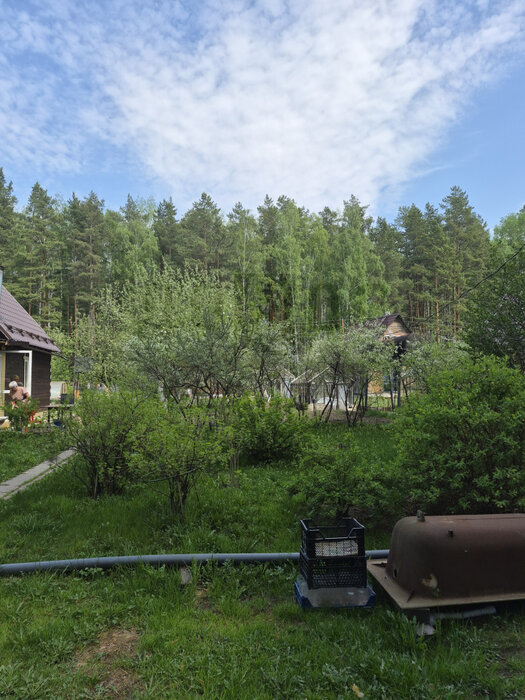 Екатеринбург, снт. Юринский - фото сада (5)