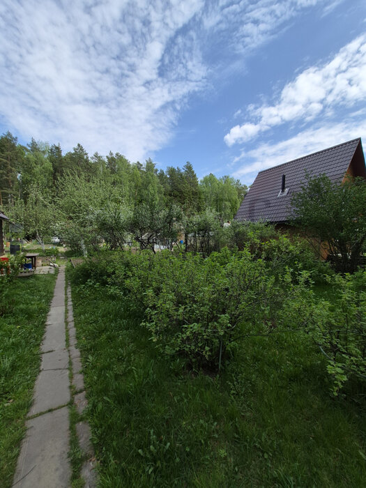 Екатеринбург, снт. Юринский - фото сада (6)