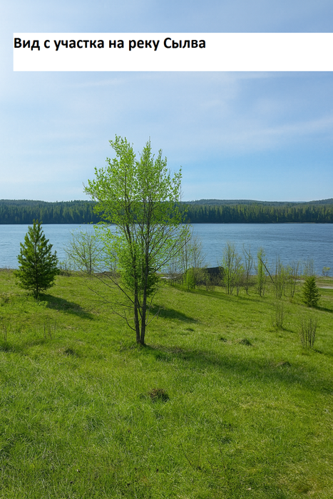 п. Сылва, ул. Нагорная (городской округ Шалинский) - фото земельного участка (5)