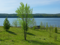 Продажа земельного участка: п. Сылва, ул. Нагорная (городской округ Шалинский) - Фото 5