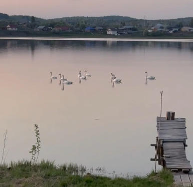 п. Сылва, ул. Нагорная (городской округ Шалинский) - фото земельного участка (7)