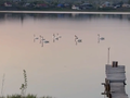 Продажа земельного участка: п. Сылва, ул. Нагорная (городской округ Шалинский) - Фото 7