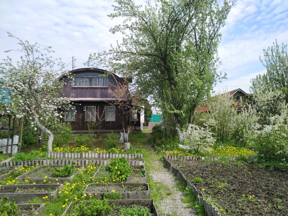 Екатеринбург, СНТ Янтарь, уч. 25 - фото сада (11)