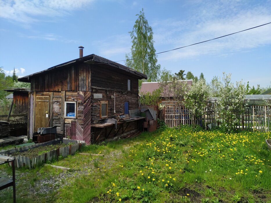 Екатеринбург, СНТ Янтарь, уч. 25 - фото сада (15)
