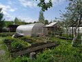 Продажа садового участка: Екатеринбург, СНТ Янтарь, уч. 25 - Фото 8