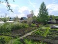Продажа садового участка: Екатеринбург, СНТ Янтарь, уч. 25 - Фото 9