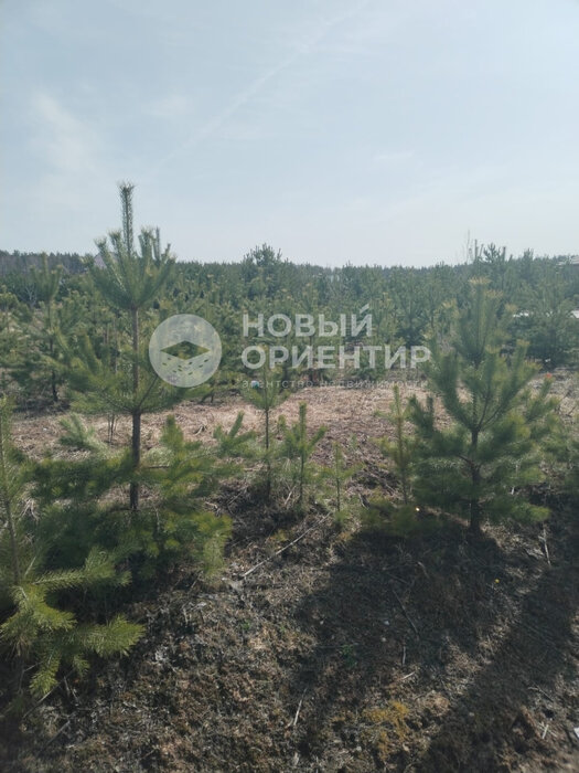 Екатеринбург, ул. Красная, 1б/9 (Горный щит) - фото земельного участка (3)