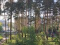 Продажа квартиры: г. Реж, ул. Черняховского, 19 (городской округ Режевской) - Фото 10