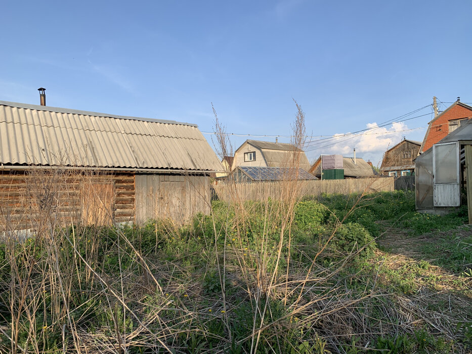 Екатеринбург, СНТ Горнощитский, уч. 113 (Горный щит) - фото сада (10)