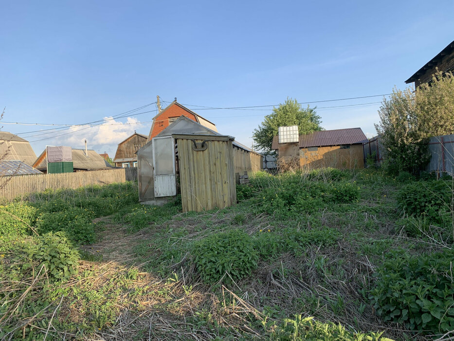 Екатеринбург, СНТ Горнощитский, уч. 113 (Горный щит) - фото сада (11)