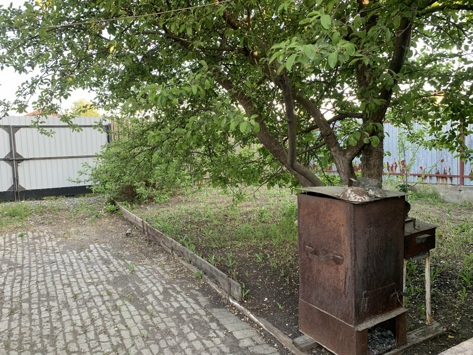 Екатеринбург, СНТ Горнощитский, уч. 113 (Горный щит) - фото сада (15)
