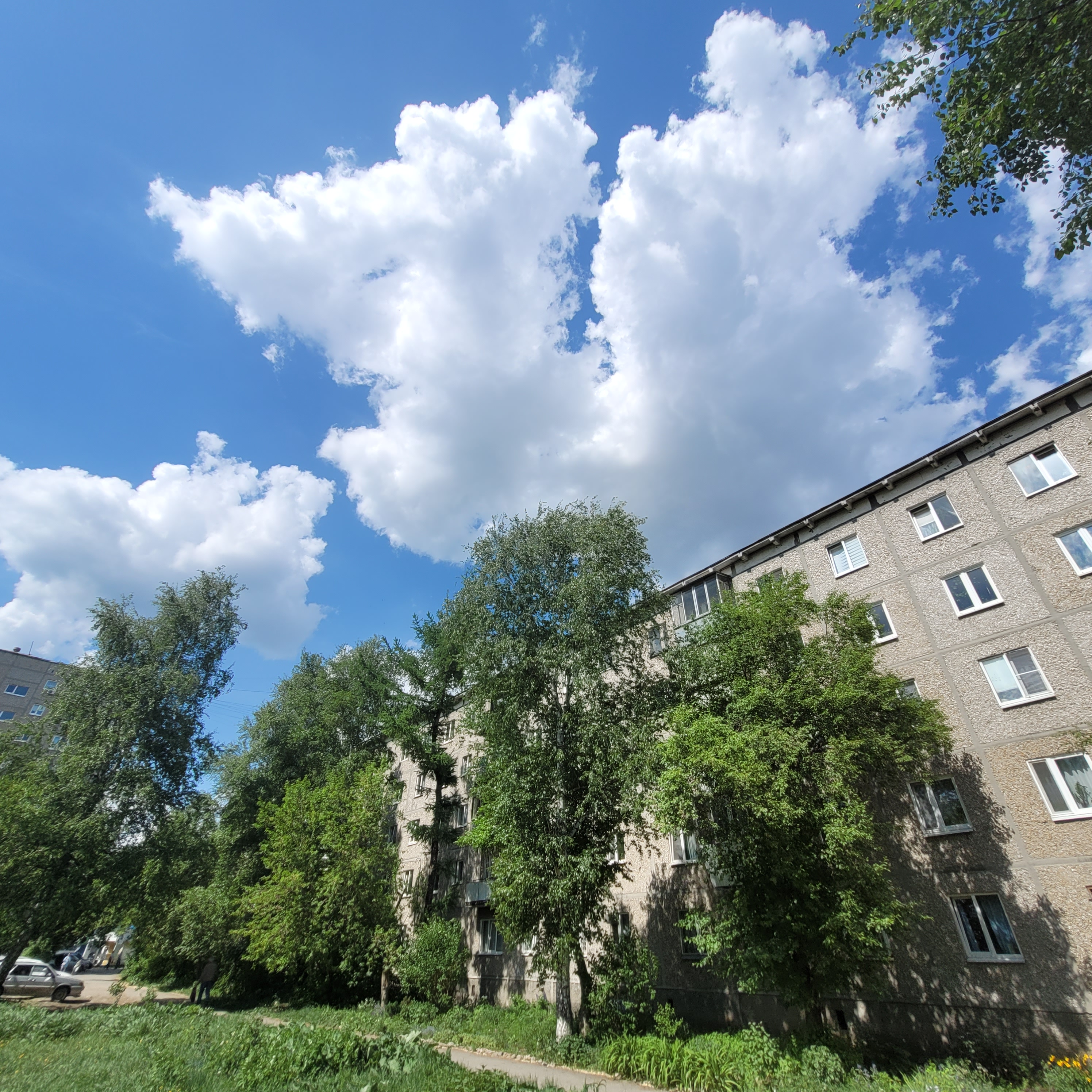 Екатеринбург, ул. Серафимы Дерябиной, 49/1 (Юго-Западный) - фото квартиры (1)