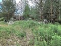 Продажа садового участка: Екатеринбург, с/т Глобус, ул. с/т Глобус, 23 (Палкинский торфяник) - Фото 11
