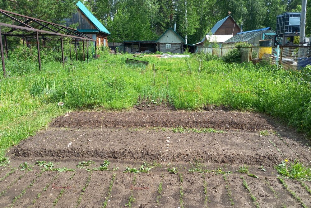 с. Кунгурка, СНТ Горняки уч, 100 (городской округ Ревда) - фото сада (2)