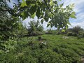 Продажа дома: г. Сысерть, ул. Тимирязева (городской округ Сысертский) - Фото 3