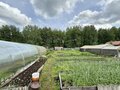 Продажа садового участка: пгт. Верхнее Дуброво, СНТ Вишенка, уч. 140 (городской округ Верхнее Дуброво) - Фото 3