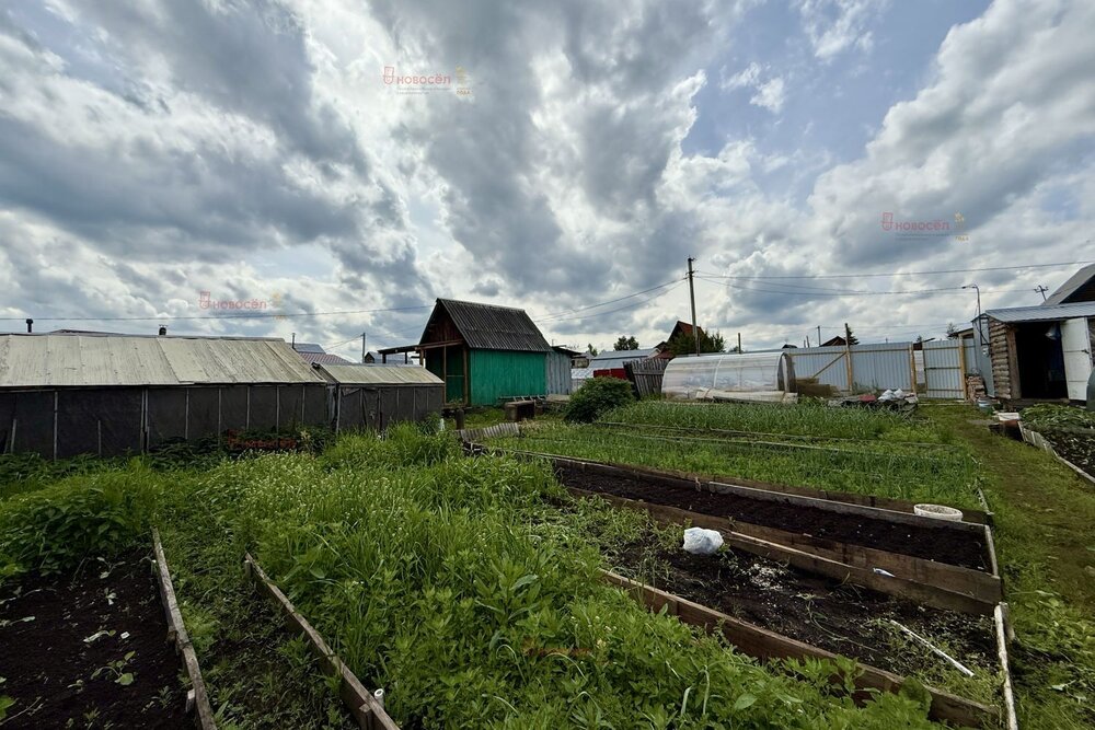 пгт. Верхнее Дуброво, СНТ Вишенка, уч. 140 (городской округ Верхнее Дуброво) - фото сада (5)