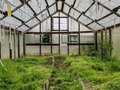 Продажа садового участка: г. Первоуральск, СНТ Калинка (городской округ Первоуральск) - Фото 2