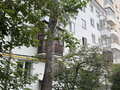 Продажа квартиры: Екатеринбург, ул. Белинского, 167 (Автовокзал) - Фото 1