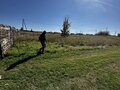 Продажа земельного участка: с. Мироново, ул. Мира (городской округ Артемовский) - Фото 3