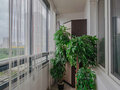 Продажа квартиры: Екатеринбург, ул. Павла Шаманова, 40 (Академический) - Фото 8