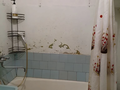 Продажа квартиры: Екатеринбург, ул. Ильича, 28 (Уралмаш) - Фото 6
