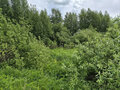 Продажа садового участка: Екатеринбург, СНТ Родники (Горный щит) - Фото 1
