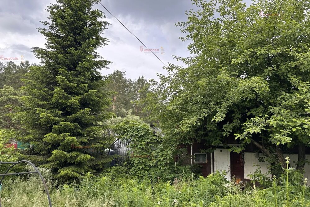 г. Березовский, коллективный сад № 37, уч. 16 (городской округ Березовский) - фото сада (16)