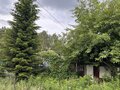 Продажа садового участка: г. Березовский, коллективный сад № 37, уч. 16 (городской округ Березовский) - Фото 16