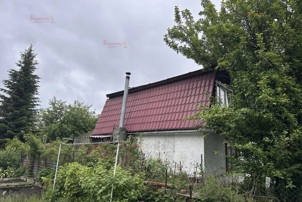 г. Березовский, коллективный сад № 37, уч. 16 (городской округ Березовский) - фото сада (1)