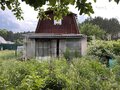 Продажа садового участка: г. Березовский, коллективный сад № 37, уч. 16 (городской округ Березовский) - Фото 4