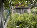Продажа садового участка: г. Березовский, коллективный сад № 37, уч. 16 (городской округ Березовский) - Фото 5