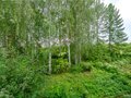 Продажа квартиры: Екатеринбург, ул. Проезжая, 169 (Шарташ) - Фото 14