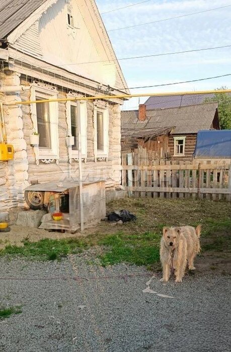с. Николо-Павловское, ул. Комсомольская (городской округ Горноуральский) - фото дома (4)