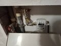 Продажа квартиры: г. Нижний Тагил, ул. Черноисточинское, 26к1 (городской округ Нижний Тагил) - Фото 11