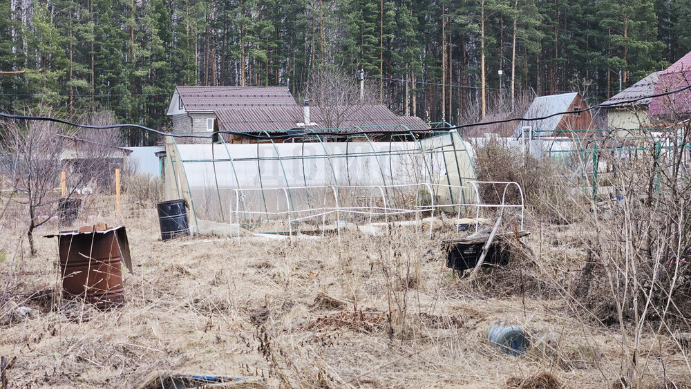 Екатеринбург, город Екатеринбург, СНТ 