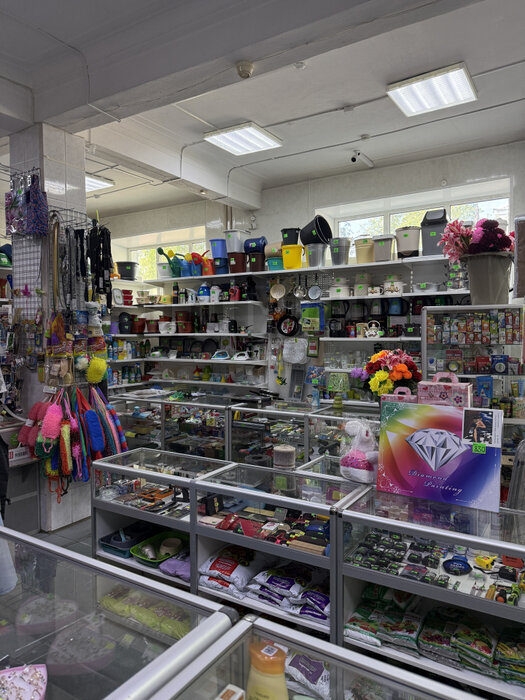 г. Верхняя Салда, ул. Евстигнеева, 17 (городской округ Верхнесалдинский) - фото торгового помещения (4)