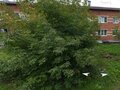 Продажа квартиры: г. Березовский, ул. Новая, 12 (городской округ Березовский) - Фото 2