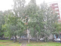 Продажа комнат: Екатеринбург, ул. Сиреневый, 11 (ЖБИ) - Фото 5