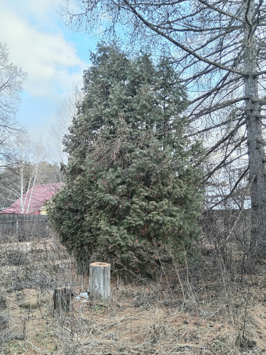 д. Гилева, ул. Калинина, 70 (городской округ Белоярский) - фото дома (15)