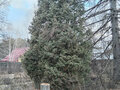 Продажа дома: д. Гилева, ул. Калинина, 70 (городской округ Белоярский) - Фото 15