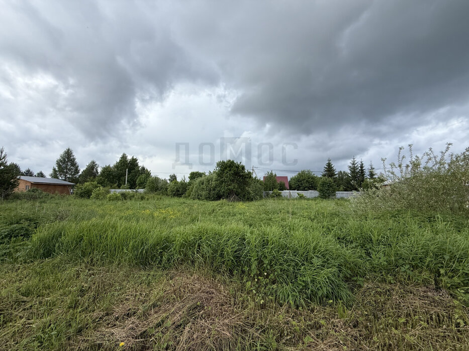 пгт. Верхнее Дуброво, СНТ Кировское (городской округ Верхнее Дуброво) - фото сада (1)