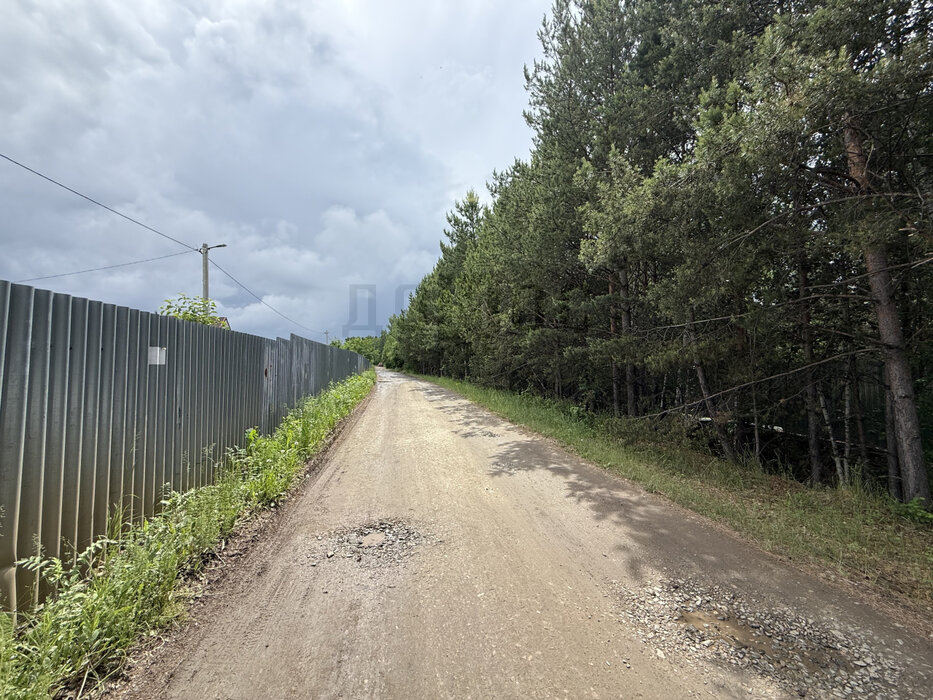 пгт. Верхнее Дуброво, СНТ Кировское (городской округ Верхнее Дуброво) - фото сада (4)