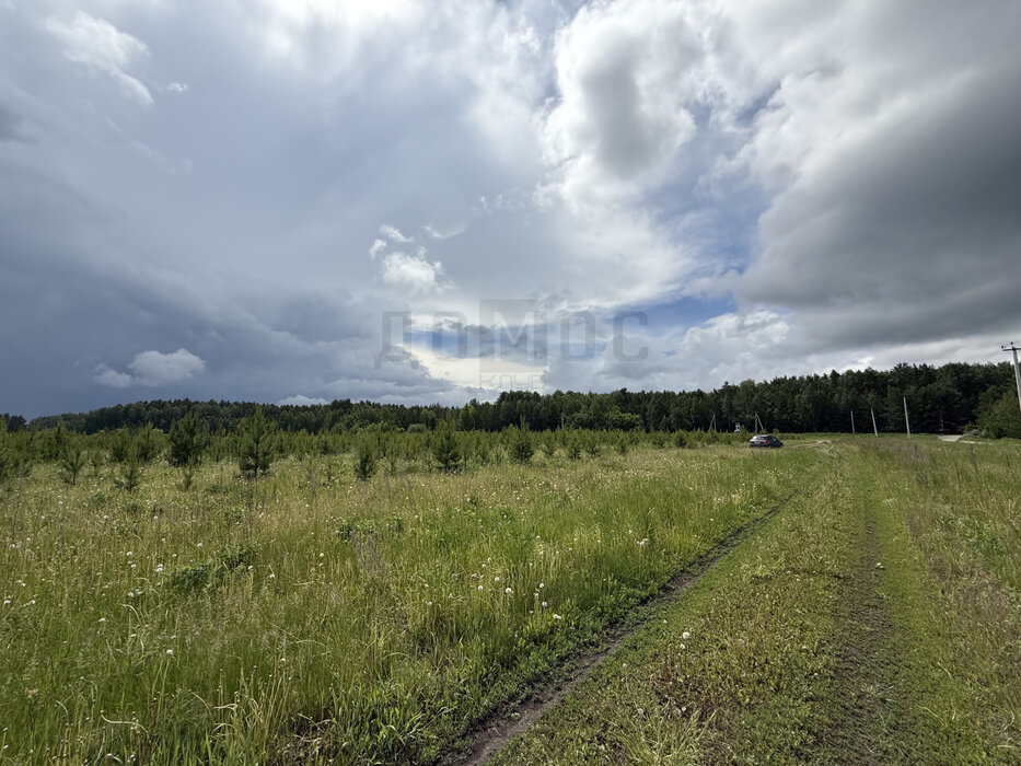 пгт. Верхнее Дуброво, СНТ Кировское (городской округ Верхнее Дуброво) - фото сада (5)