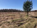 Продажа земельного участка: г. Среднеуральск, ул. Территория 