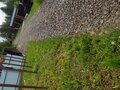 Продажа земельного участка: пгт. Верхнее Дуброво, ул. Фестивальная, 4а (городской округ Верхнее Дуброво) - Фото 16