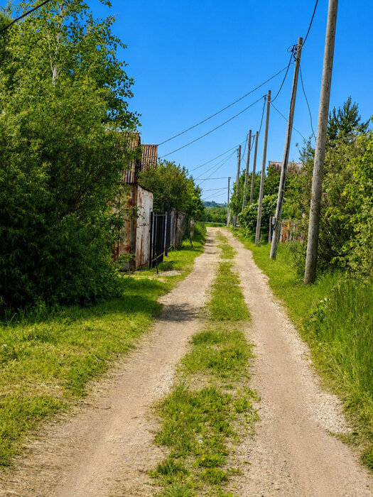 с. Логиново, тер. СНТ. Автомобилист (городской округ Белоярский) - фото сада (11)