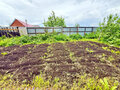 Продажа дома: с. Щелкун, ул. Советская, 47 (городской округ Сысертский) - Фото 8